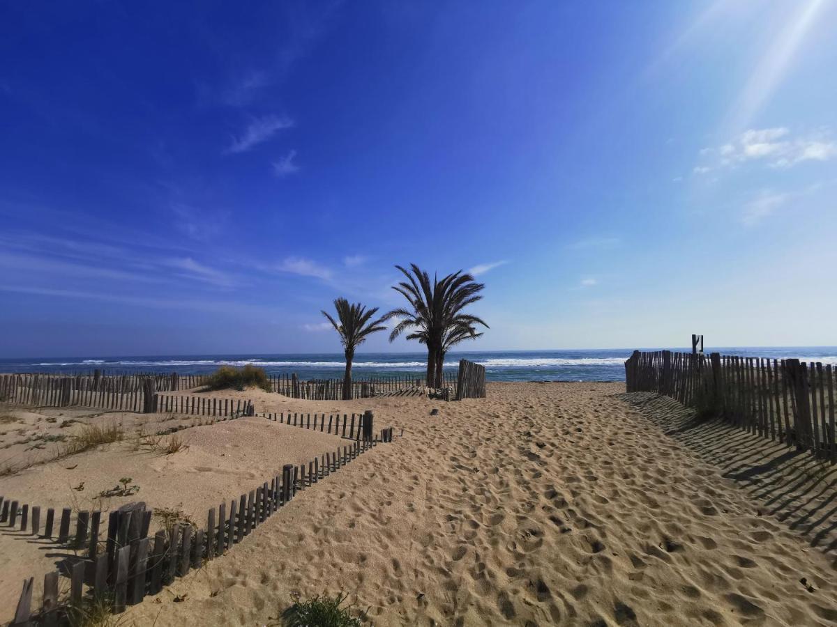 Soleil Levant 2 - En Bord De Mer - Superbe Appartement Cosy - Acces Direct Plage - Proche Commerces Et Animations Le Barcarès エクステリア 写真